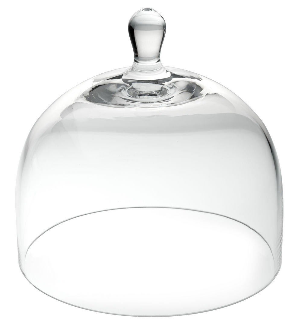 Glass Cloche 6